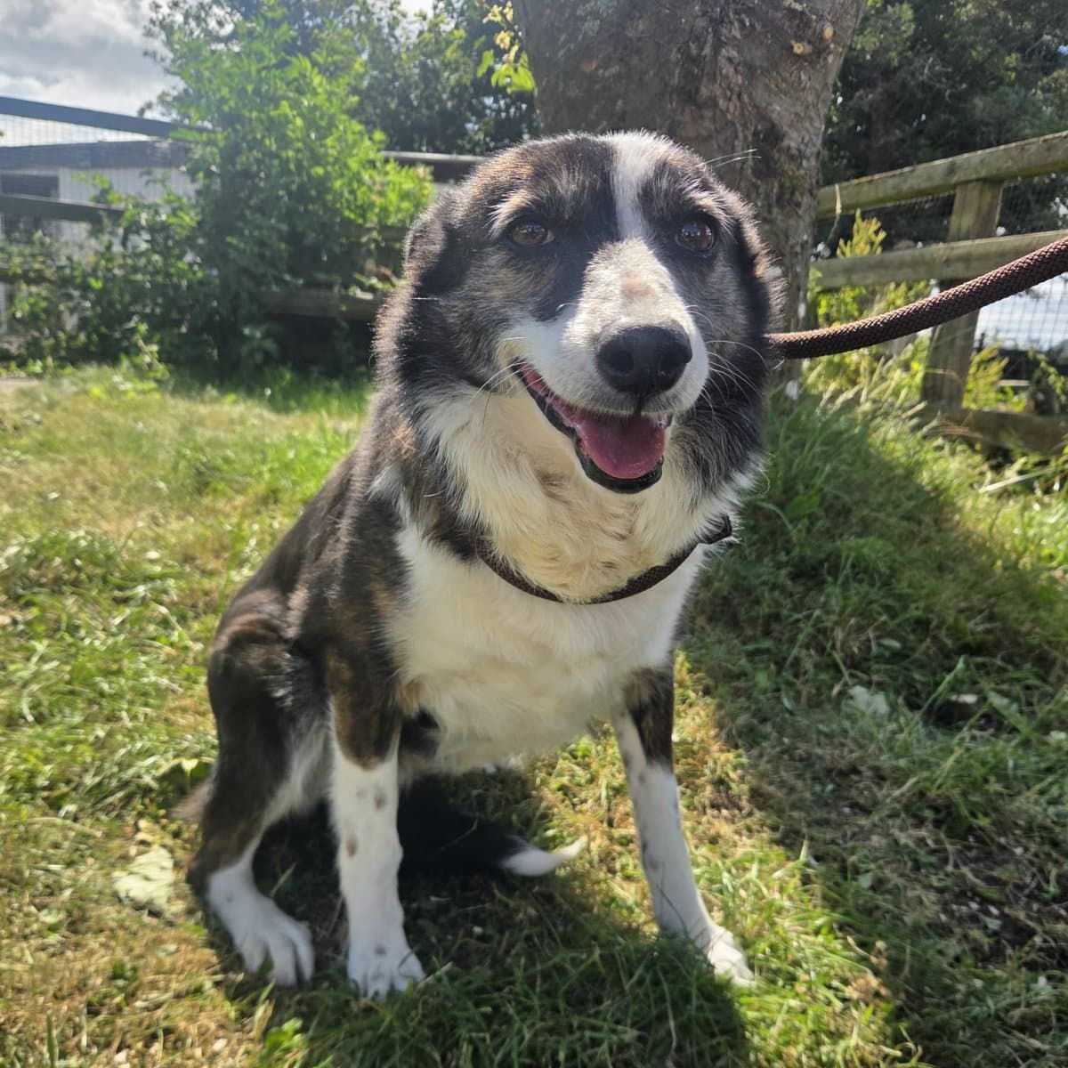 Mia