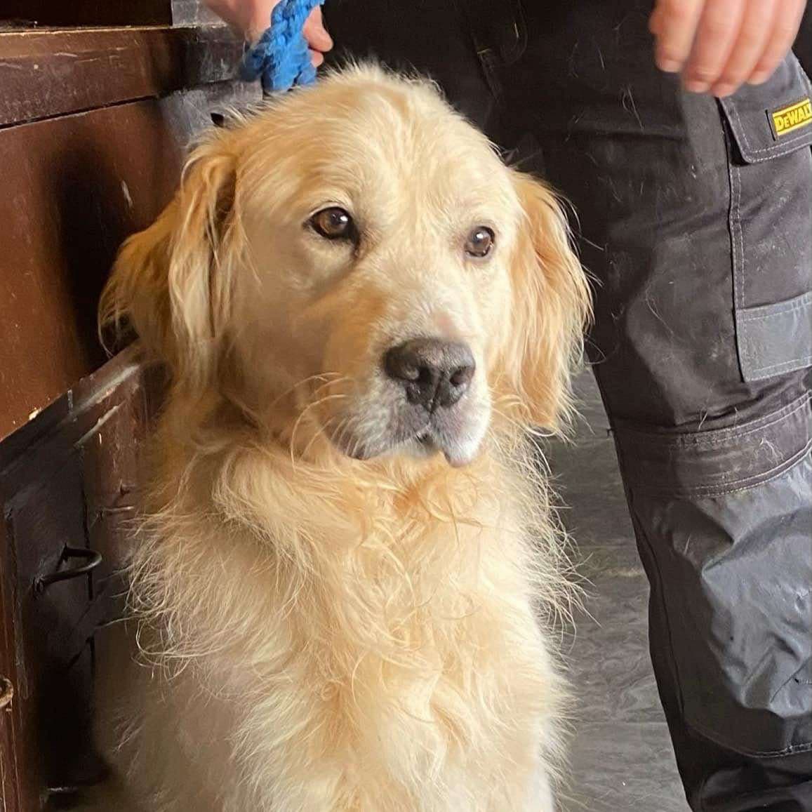 Finn