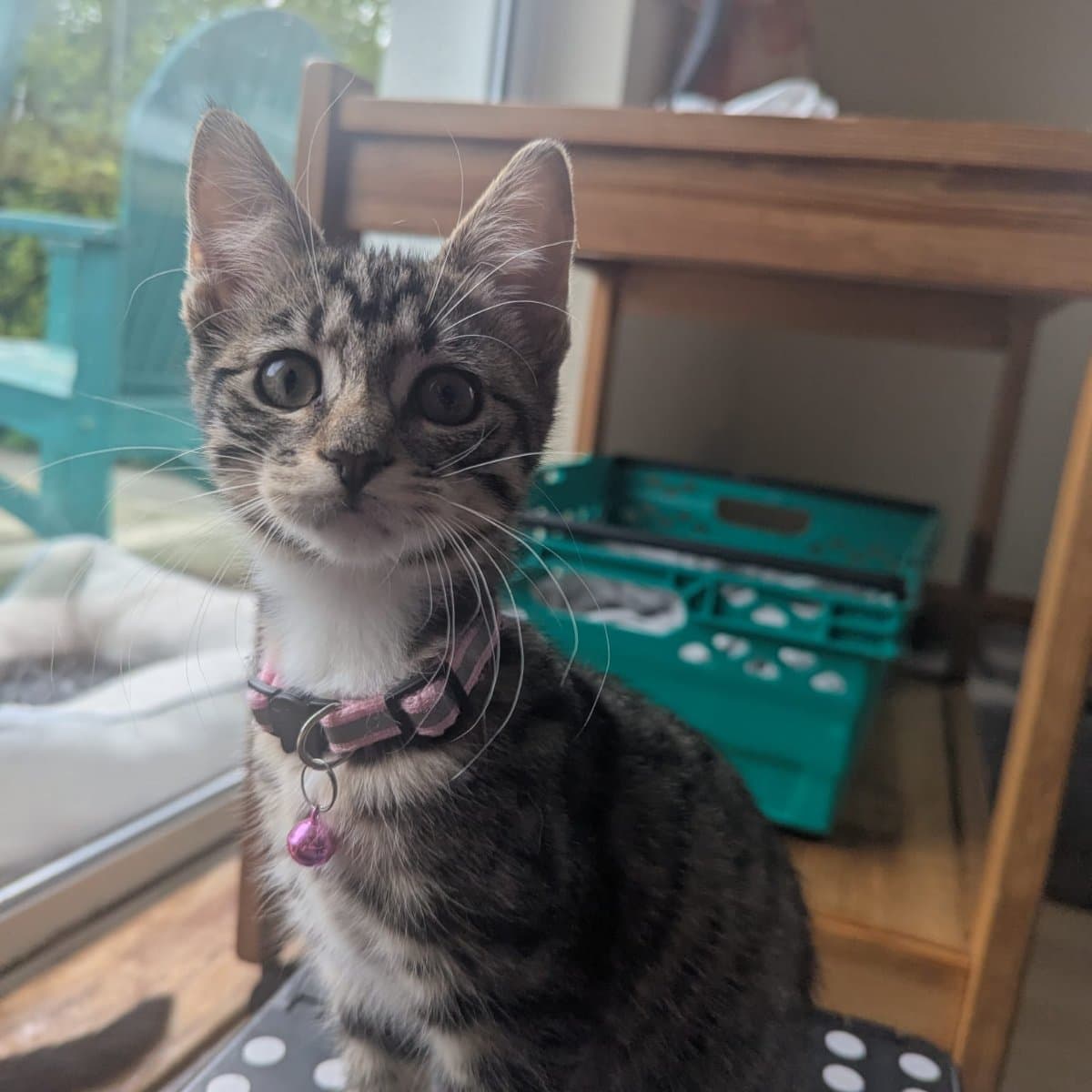 Artemis