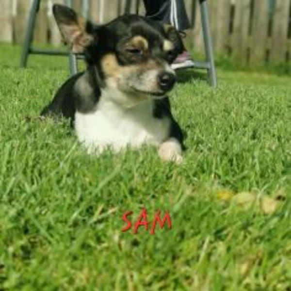 Sam