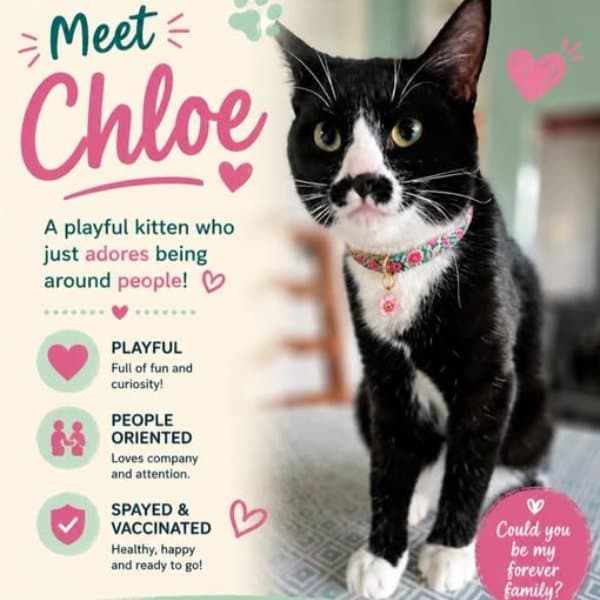 Chloe