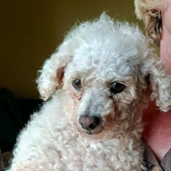 Winnie