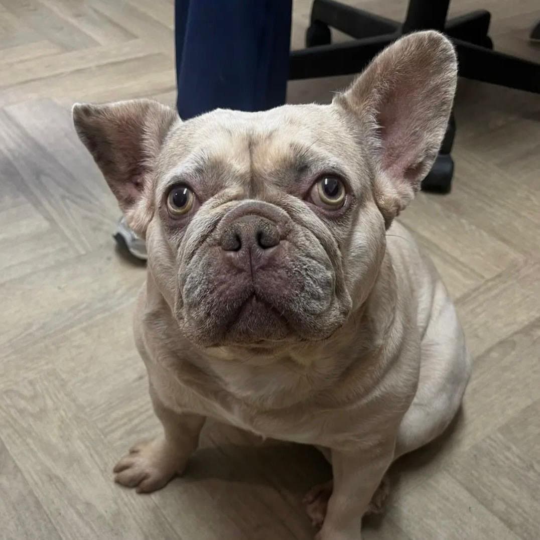 Lucy