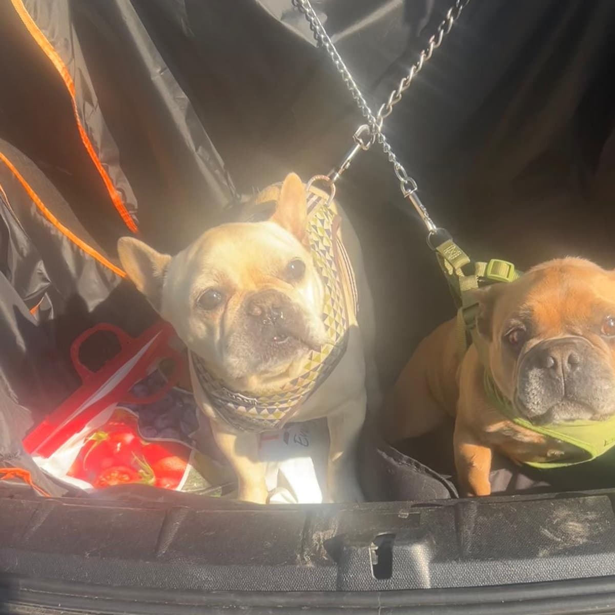 Stan and Ivy