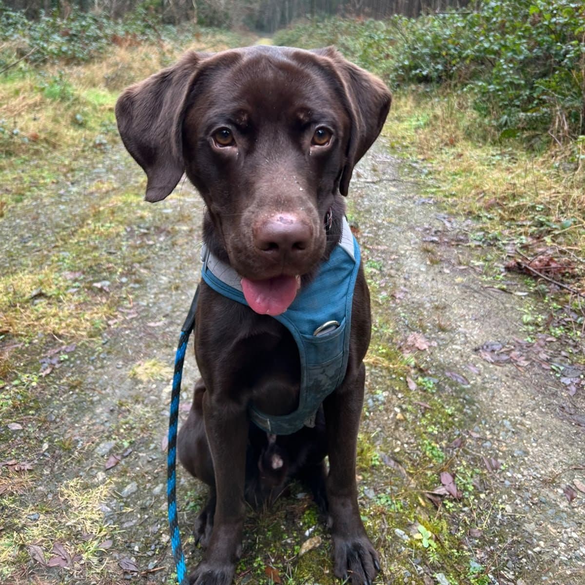 Barclay