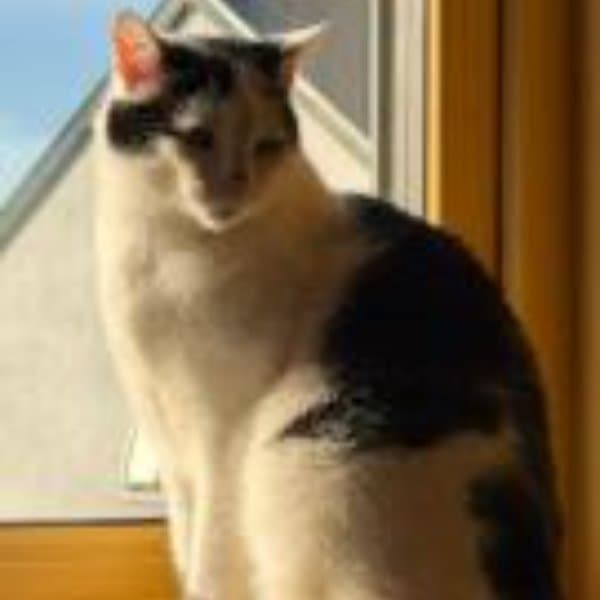 Yuki